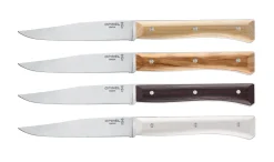 Coffret de 4 couteaux de table Facette Panaché